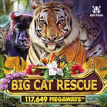 Big Cat Rescue Megaways - DELUXEPLAY88